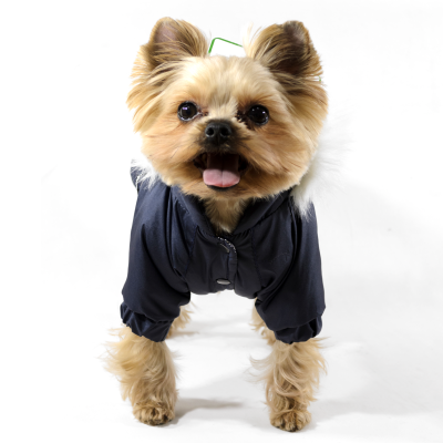 Lucky Pet Костюм Соло синій Міні XS