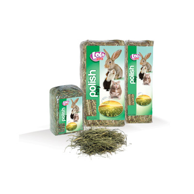 Сіно Lolo Pets для гризунів